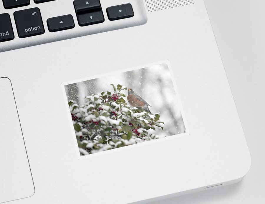 Snowy Day Robin Sticker featuring the photograph Snowy Day Robin by Terry DeLuco