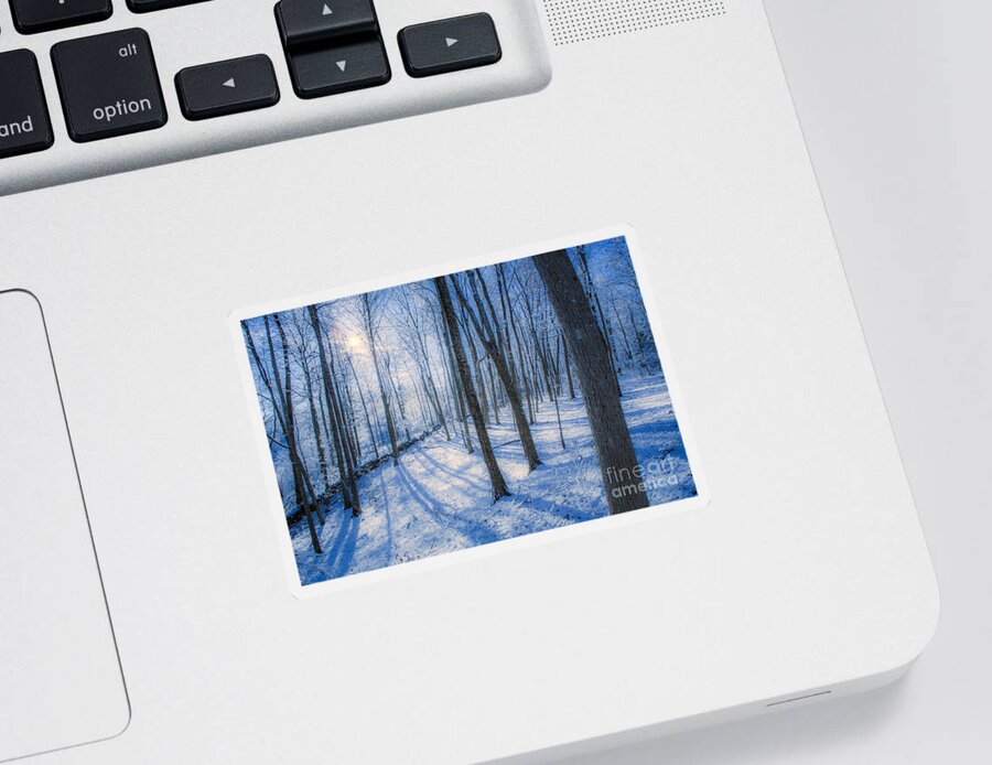 Snow Sticker featuring the photograph Snowy New England Forest by Diane Diederich