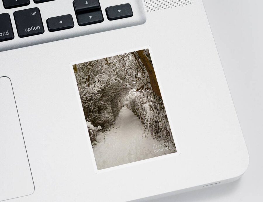 Snow Sticker featuring the photograph Snowy Path by Vicki Spindler