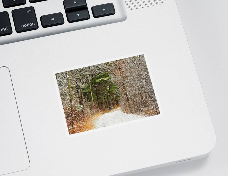 Snow Sticker featuring the photograph Snowy Tunnel of Trees by Terri Gostola