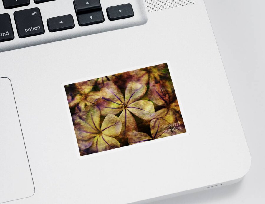 Flower Art Sticker featuring the painting Soft Violet and Orange Flower Art by Jani Bryson