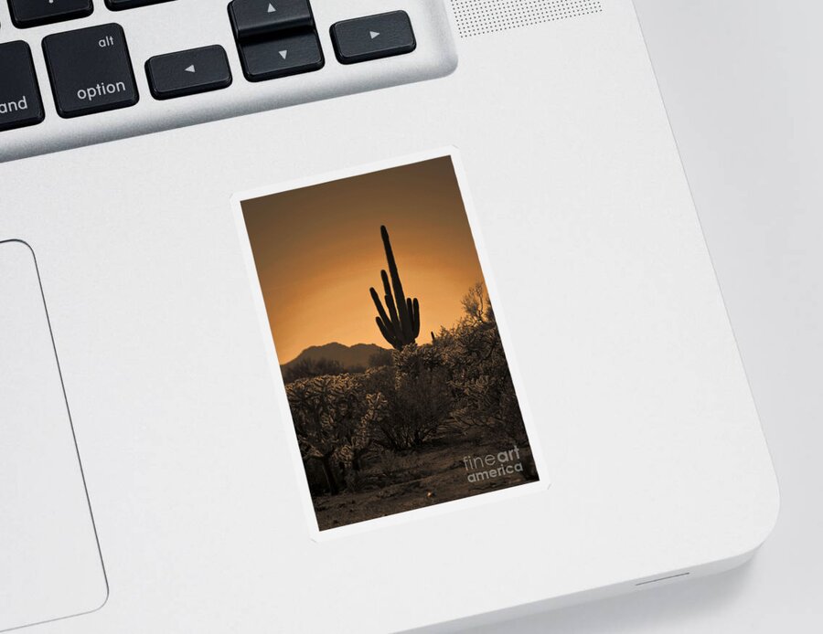Saguaro Cactus Sticker featuring the photograph Solitary Saguaro by Deb Halloran