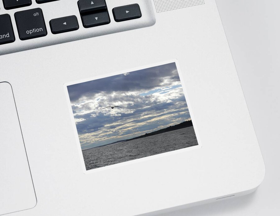 Seascape Sticker featuring the photograph Solo Flight by Jean Goodwin Brooks
