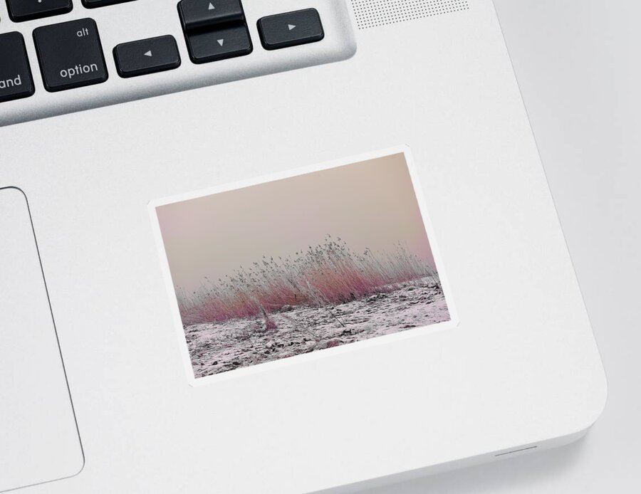 Soothing Sticker featuring the photograph Soothing View by Randi Grace Nilsberg