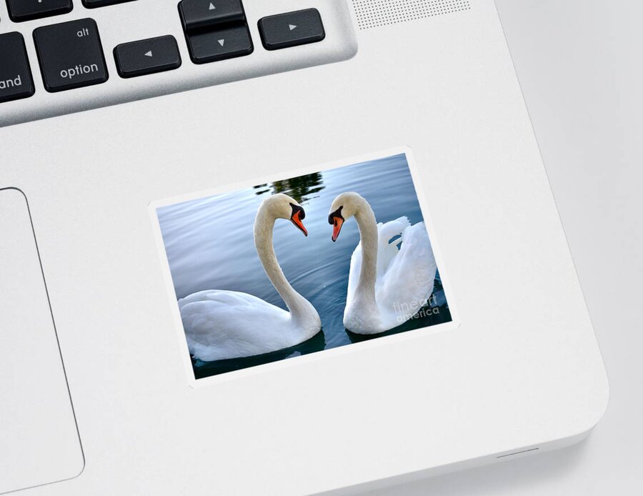 White Swans Sticker featuring the photograph Soul Mates by Deb Halloran