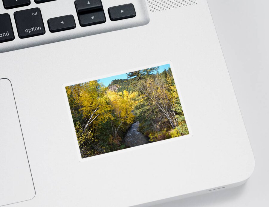Dakota Sticker featuring the photograph Spearfish Creek in Fall Foliage by Greni Graph