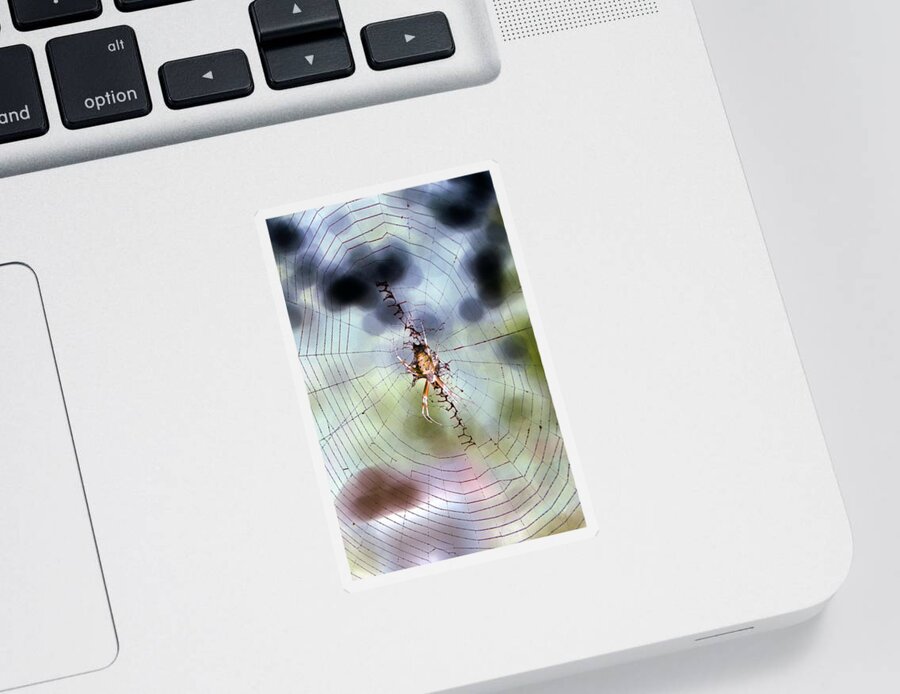 Spider Sticker featuring the photograph Spider - Black and Yellow Argiope - PhotoPower 1531 by Pamela Critchlow
