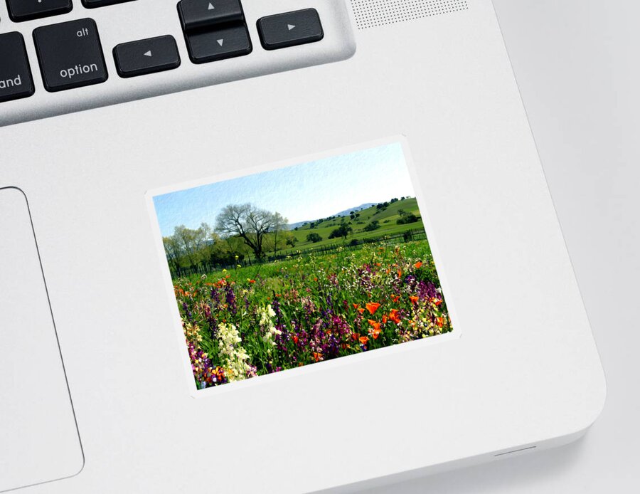 Flowers Sticker featuring the photograph Spring bouquet at Rusack Vineyards by Kurt Van Wagner