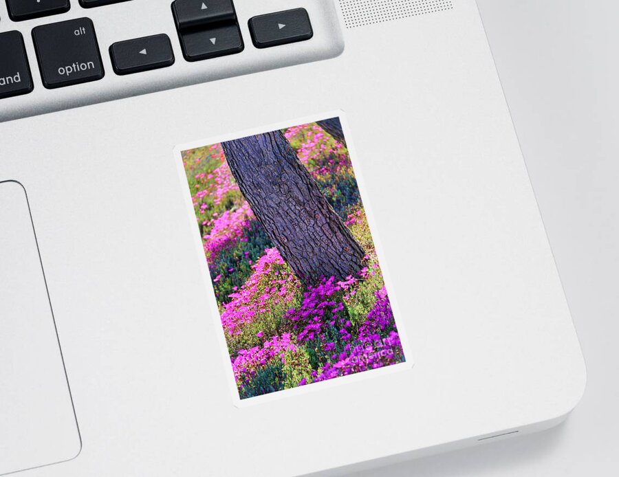 Spring Meadow Sticker featuring the photograph Spring Meadow by Mariola Bitner