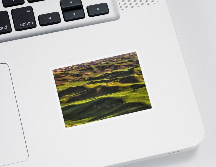 Wheat Sticker featuring the photograph Spring on the Palouse by Mark Kiver