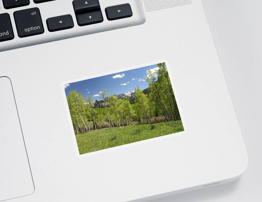 Colorado Sticker featuring the photograph Spring Time by Eric Glaser