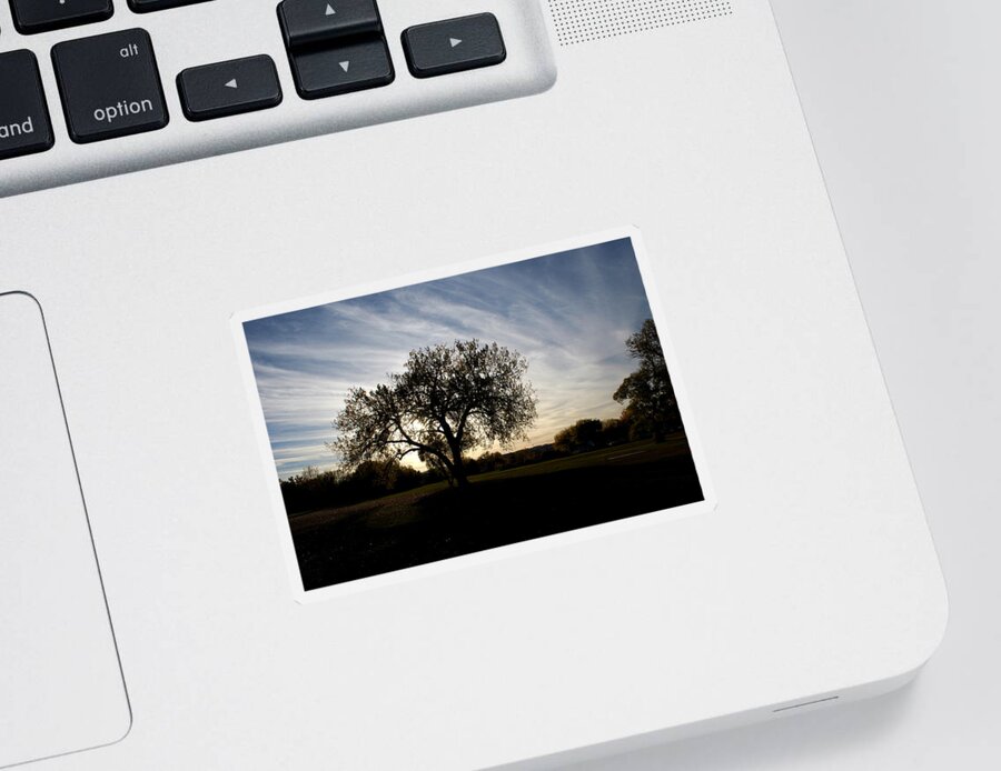 Tree Sticker featuring the photograph Standing Alone Against the Evening Sky by Greni Graph