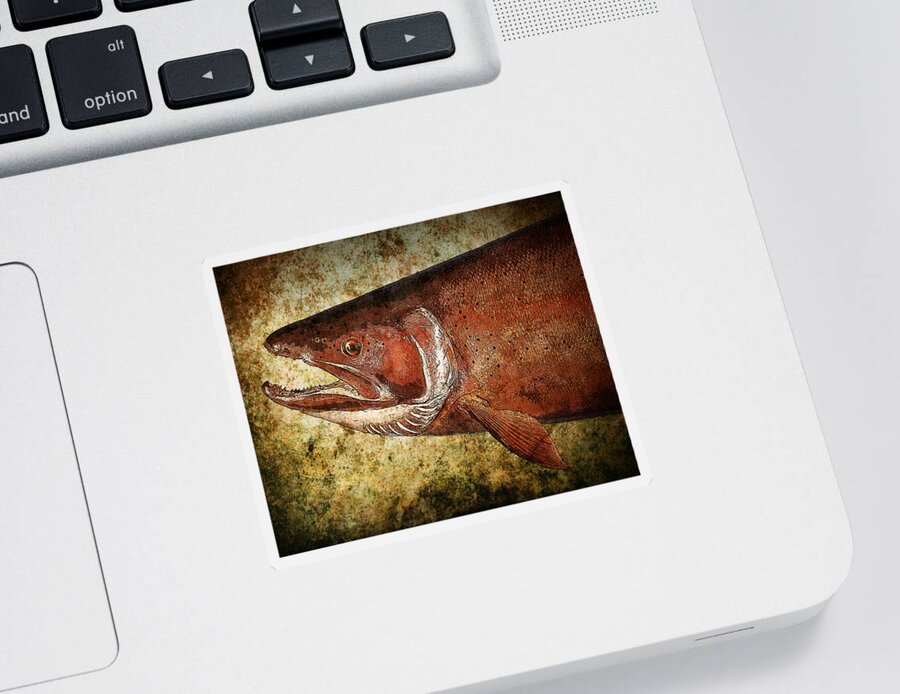 Art Sticker featuring the photograph Steelhead Trout by Randall Nyhof