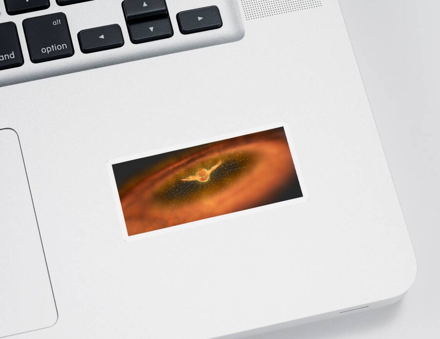 Illustration Sticker featuring the photograph Stellar Wind Blown By A Protostar by Science Source