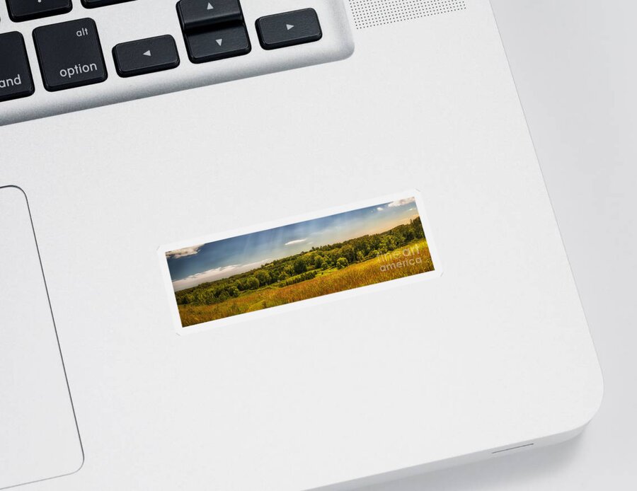 Landscape Sticker featuring the photograph Summer countryside by Elena Elisseeva