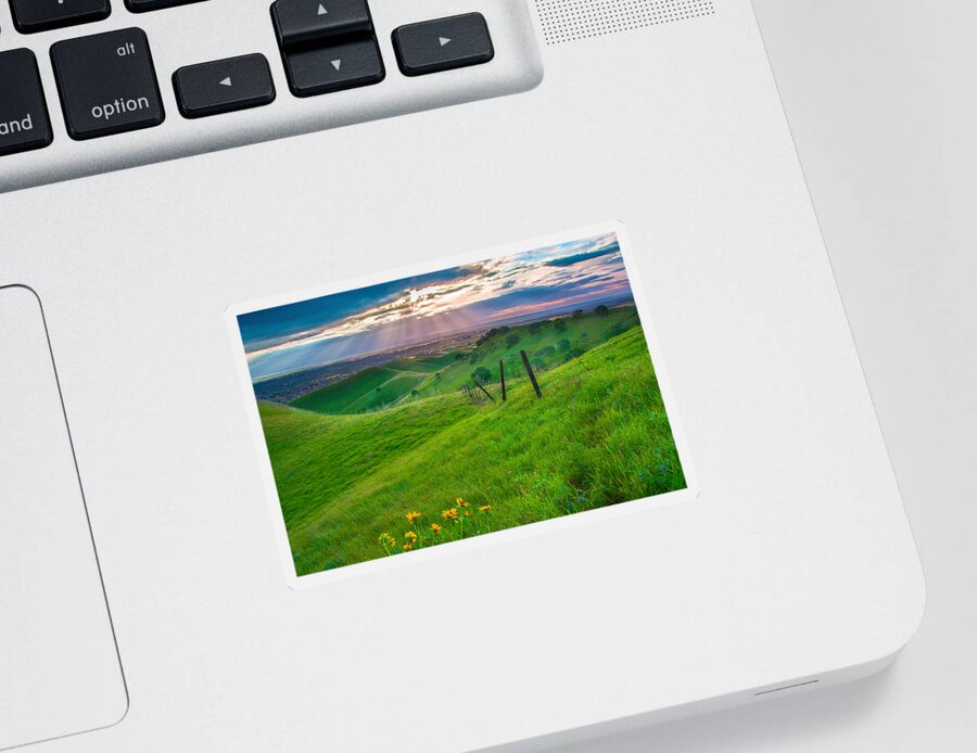 Landscape Sticker featuring the photograph Sun Rays And Green Hillside by Marc Crumpler