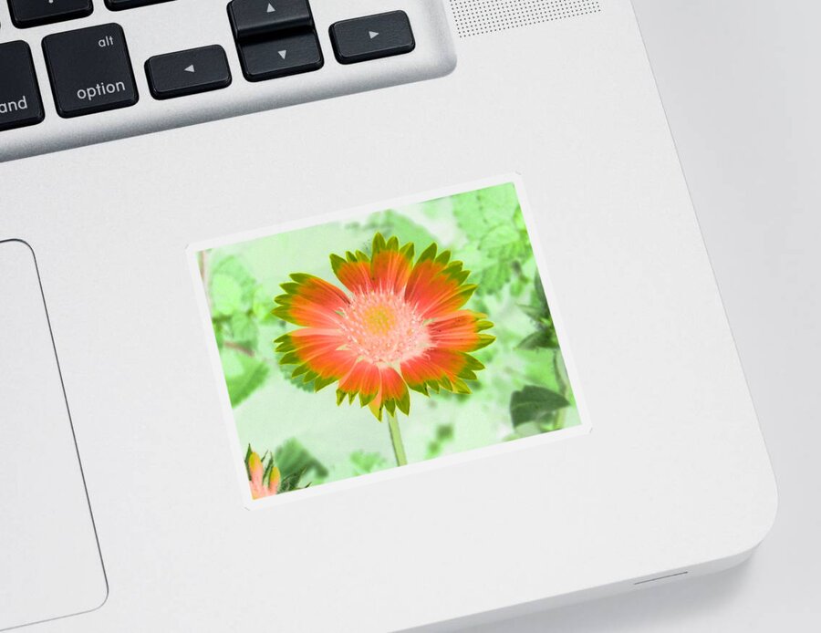 Flower Sticker featuring the photograph Sunburst - PhotoPower 2250 by Pamela Critchlow