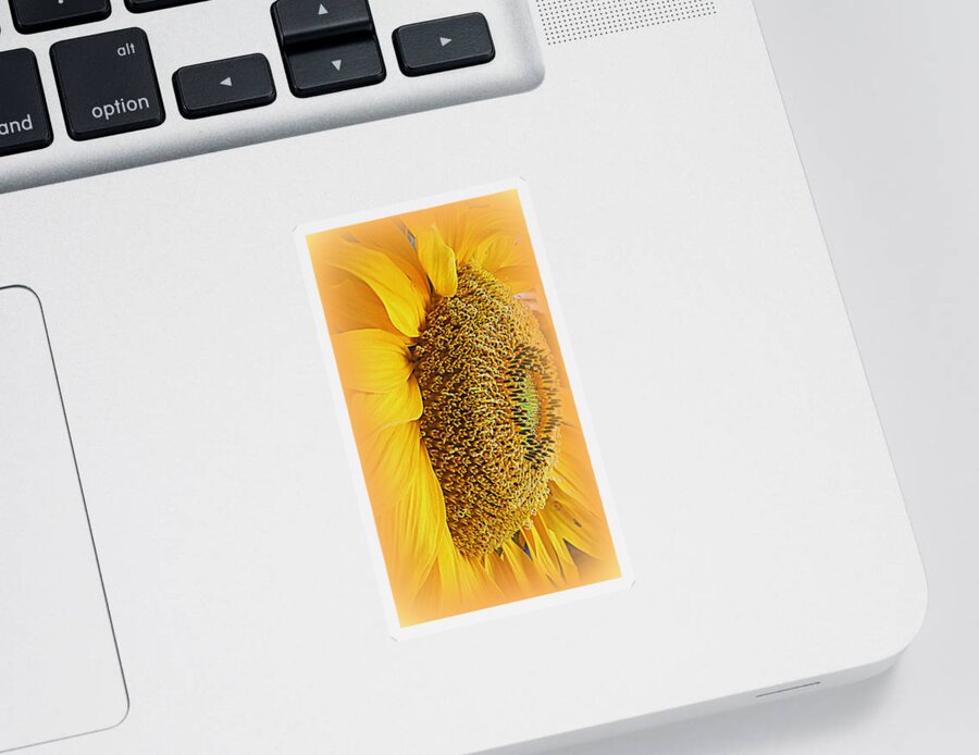 Macro Sticker featuring the photograph Sunflower by Kay Novy