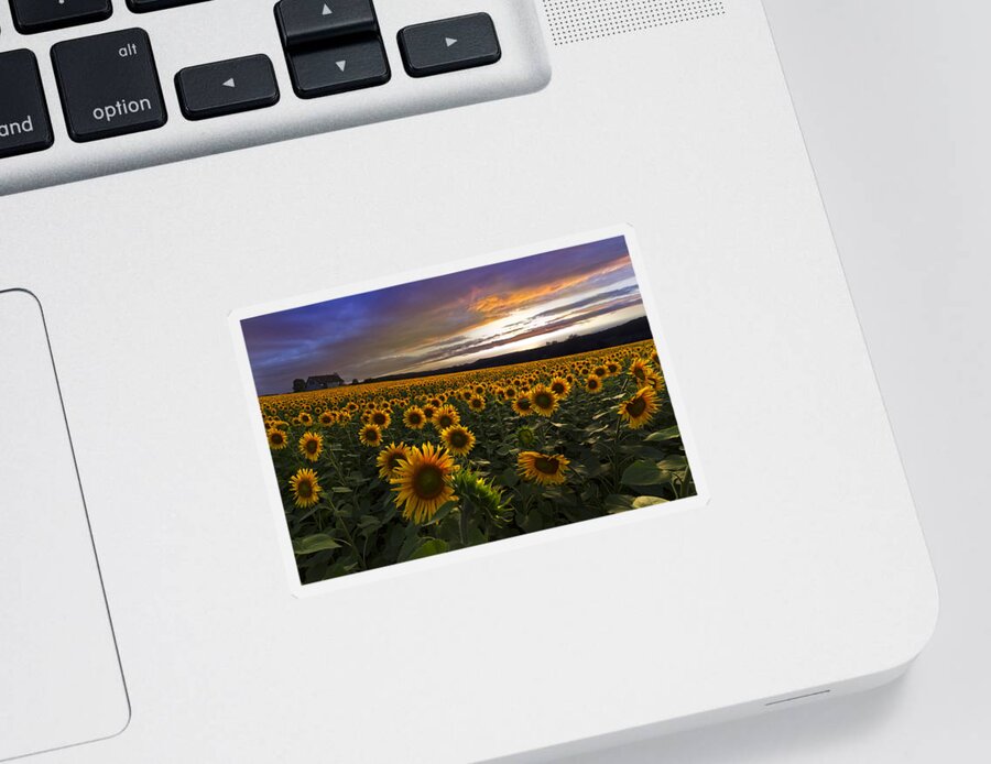 Austria Sticker featuring the photograph Sunflower Sunset by Debra and Dave Vanderlaan