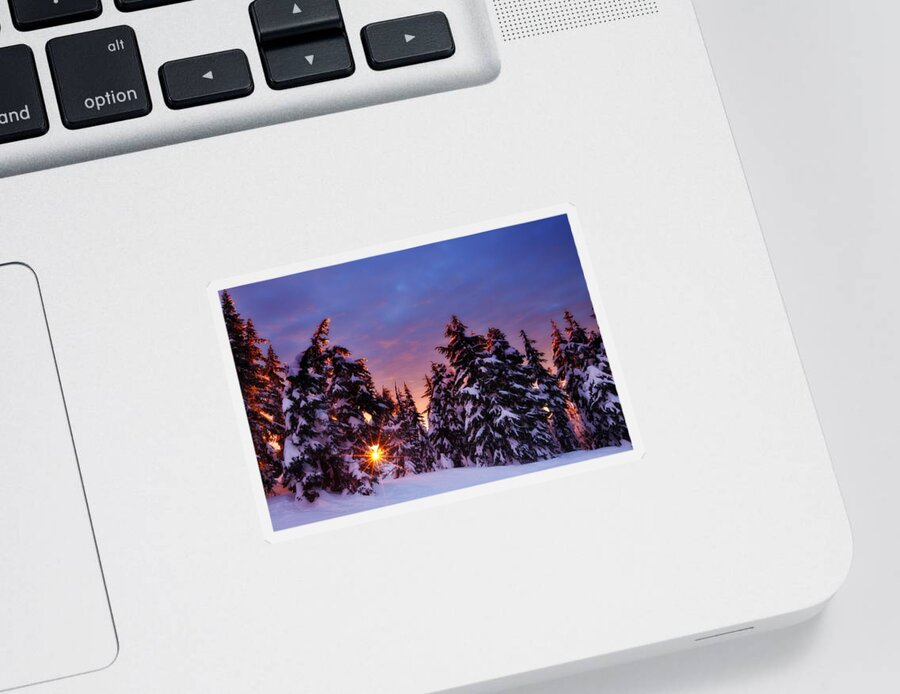 Winter Sticker featuring the photograph Sunrise Dreams by Darren White