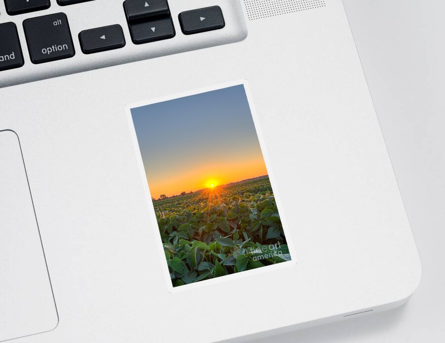 Michael Versprill Sticker featuring the photograph Sunrise over a field by Michael Ver Sprill