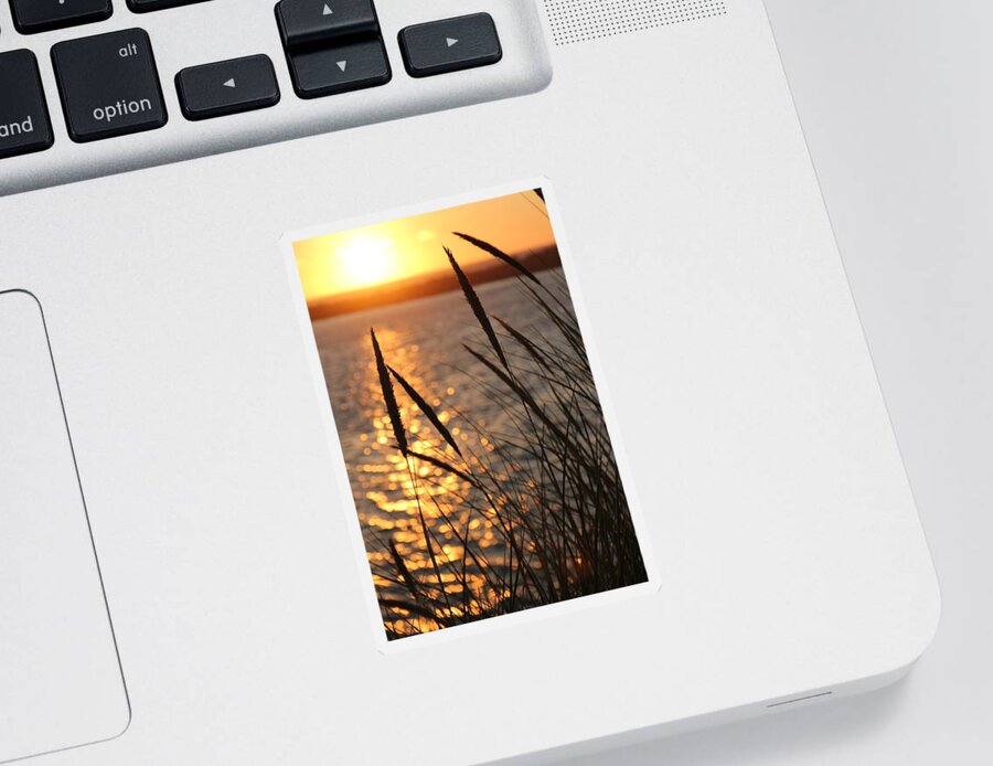 Sunset Sticker featuring the photograph Sunset Beach by Athena Mckinzie