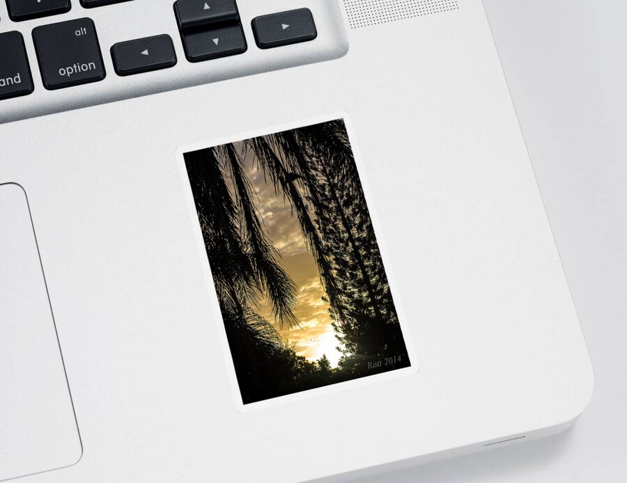 Sunset Sticker featuring the photograph Sunset Between The Trees by Michael Podesta 