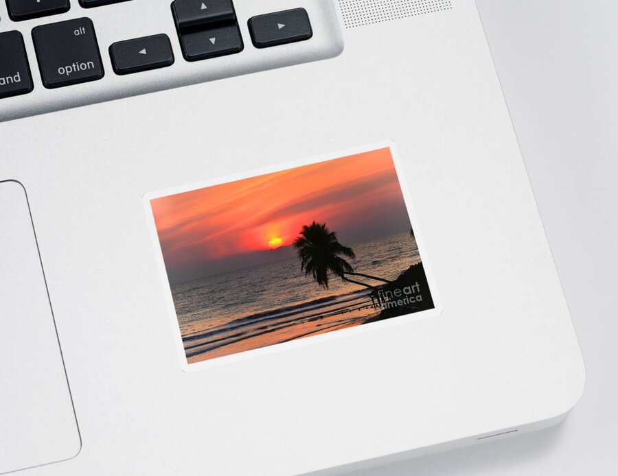 Sun Sticker featuring the photograph Sunset  Gulf of Mexico  Naples Florida by Elaine Manley