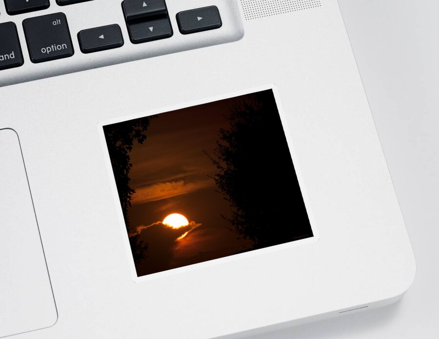 Airport Sticker featuring the photograph Sunset by Miguel Winterpacht