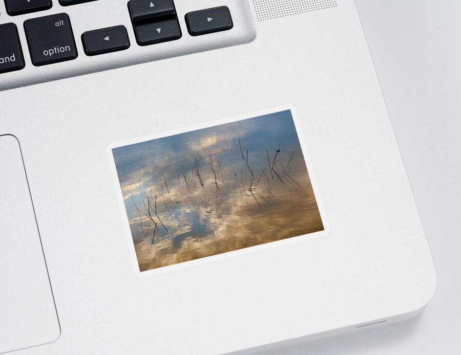 Sunset Sticker featuring the photograph Sunset Reflection by Jean-Pierre Ducondi