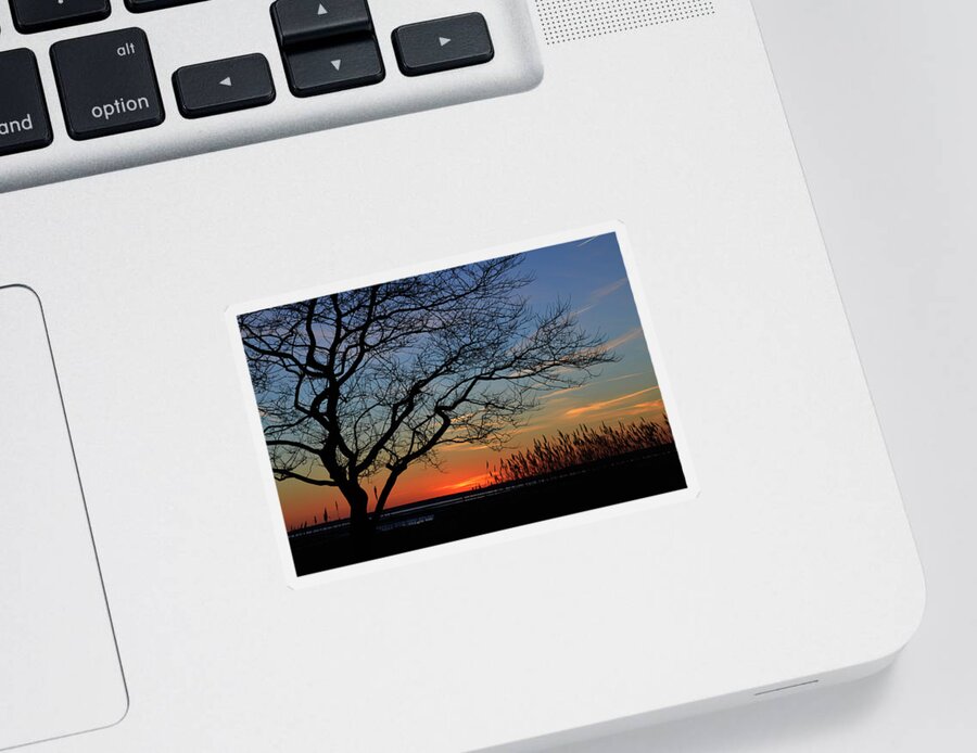 Assawoman Bay Sticker featuring the photograph Sunset Tree in Ocean City MD by Bill Swartwout