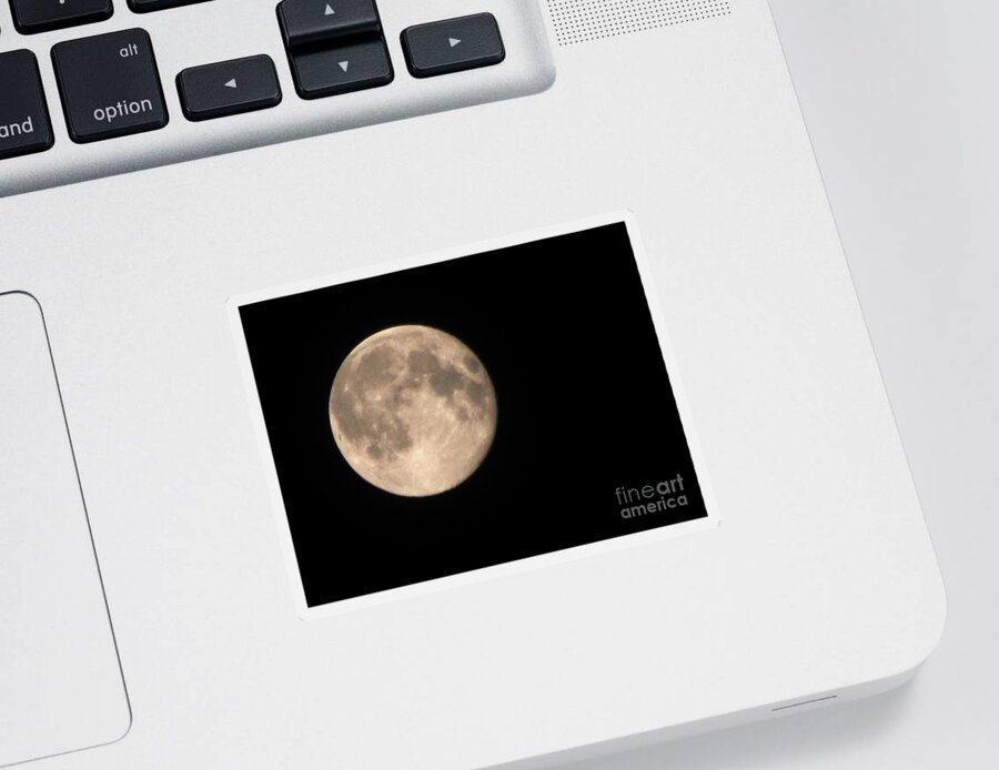 Moon Photographs Sticker featuring the photograph Super Moon by David Millenheft