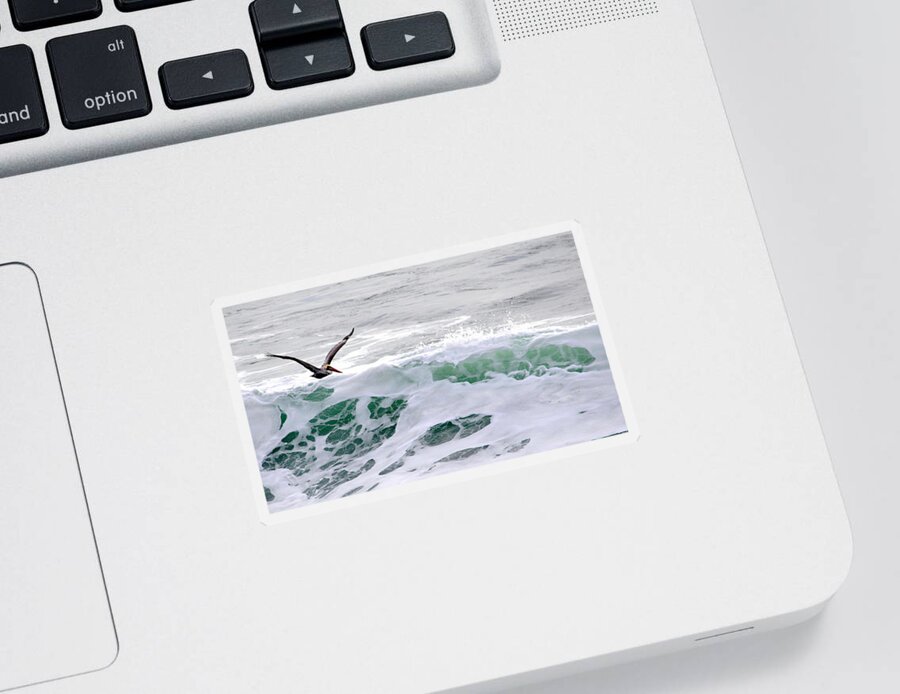 Wildlife Sticker featuring the photograph Surf n Pelican by AJ Schibig