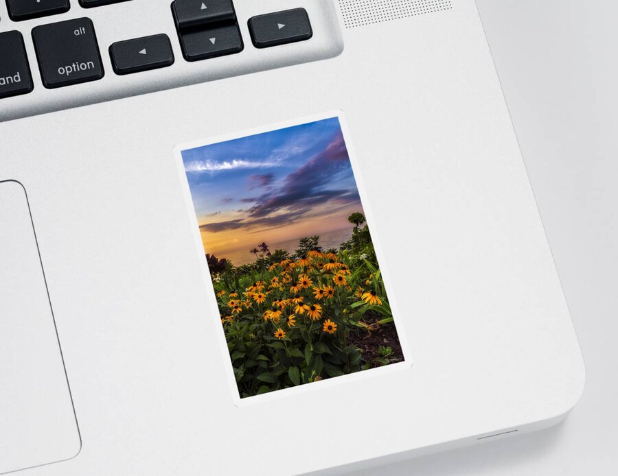 Sunset Sticker featuring the photograph Susan's sunset by Mark Papke