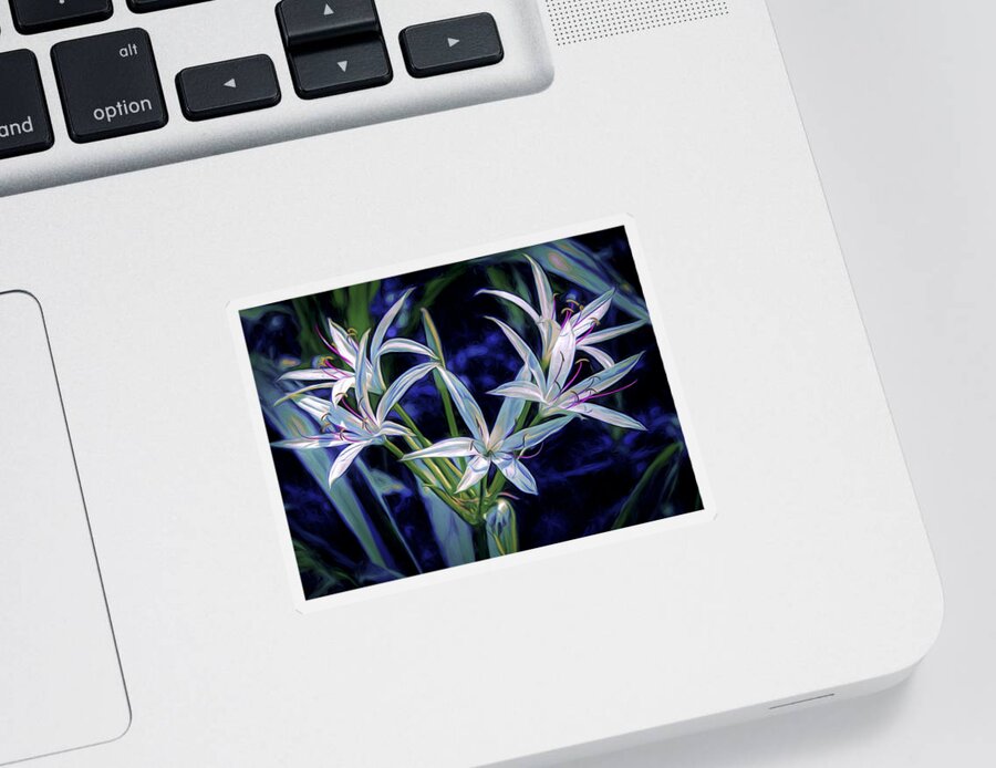 Lily Sticker featuring the photograph Swamp Lilies by Steven Sparks