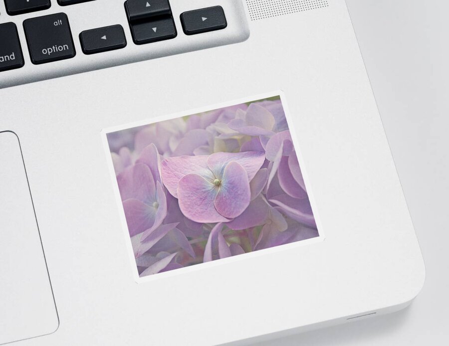Hydrangea Sticker featuring the photograph Symphony in Purple by Kim Hojnacki