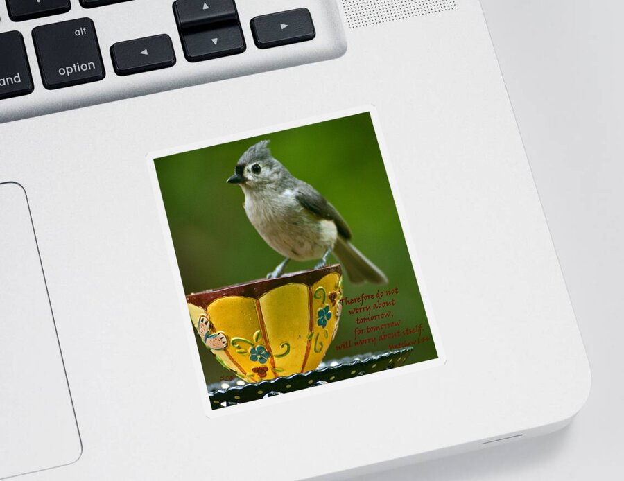Black Capped Chickadee Sticker featuring the photograph Taken Care Of by Sandra Clark