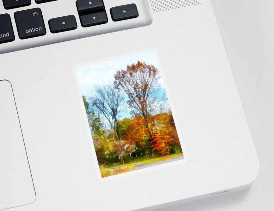 Street Sticker featuring the photograph Tall Autumn Trees by Susan Savad