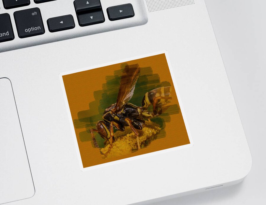 Macro Sticker featuring the photograph Textured Wasp by Paul Freidlund