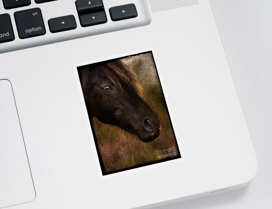 Pony Sticker featuring the photograph that Wild Look by Ang El
