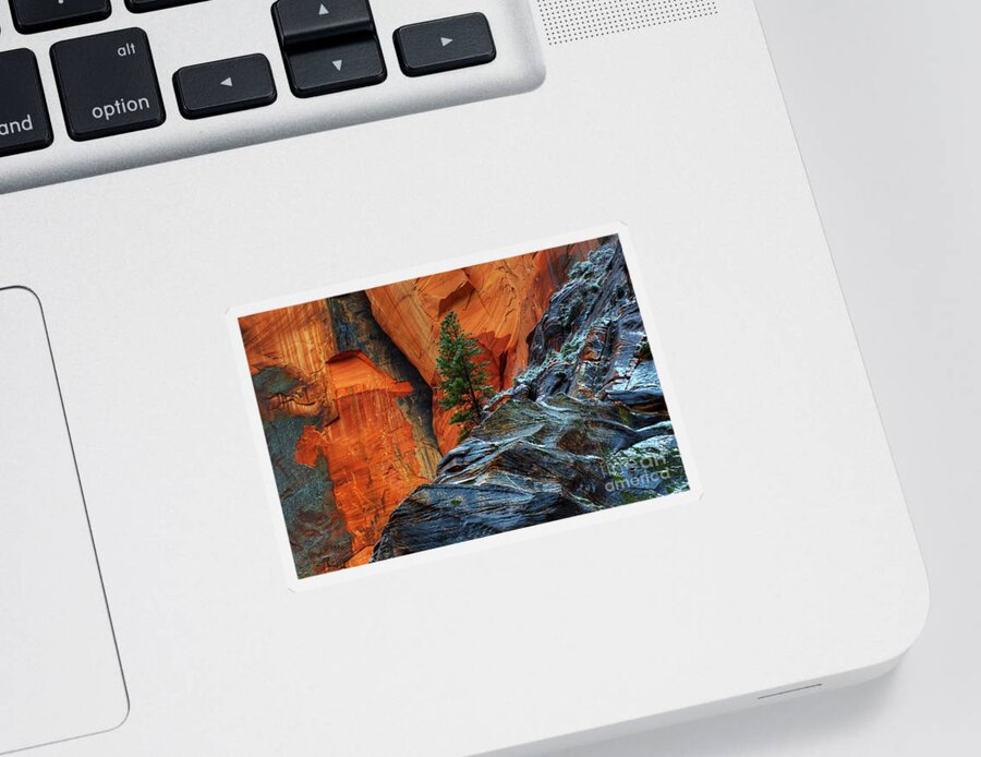 Beauty Sticker featuring the photograph The Beauty Of Sandstone Zion by Bob Christopher