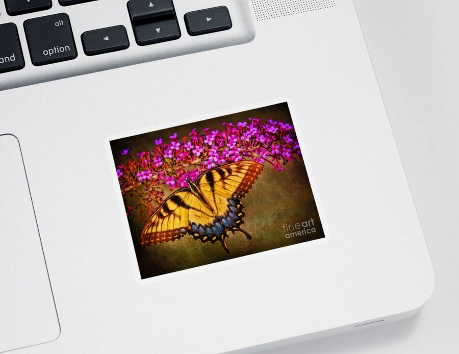 Female Eastern Tiger Swallowtail Sticker featuring the photograph The Butterfly Effect by Elizabeth Winter