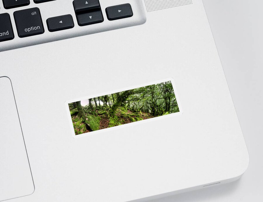 Forest Sticker featuring the photograph The Elven forest No2 Wide by Weston Westmoreland