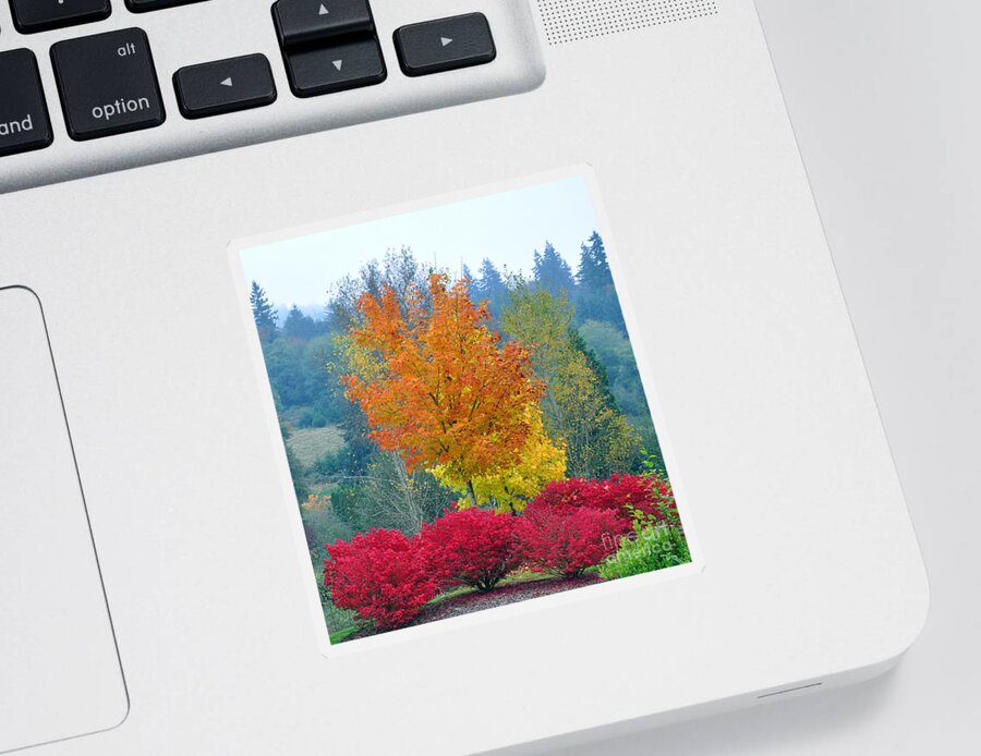 Autumn Sticker featuring the photograph The Flame by Kirt Tisdale