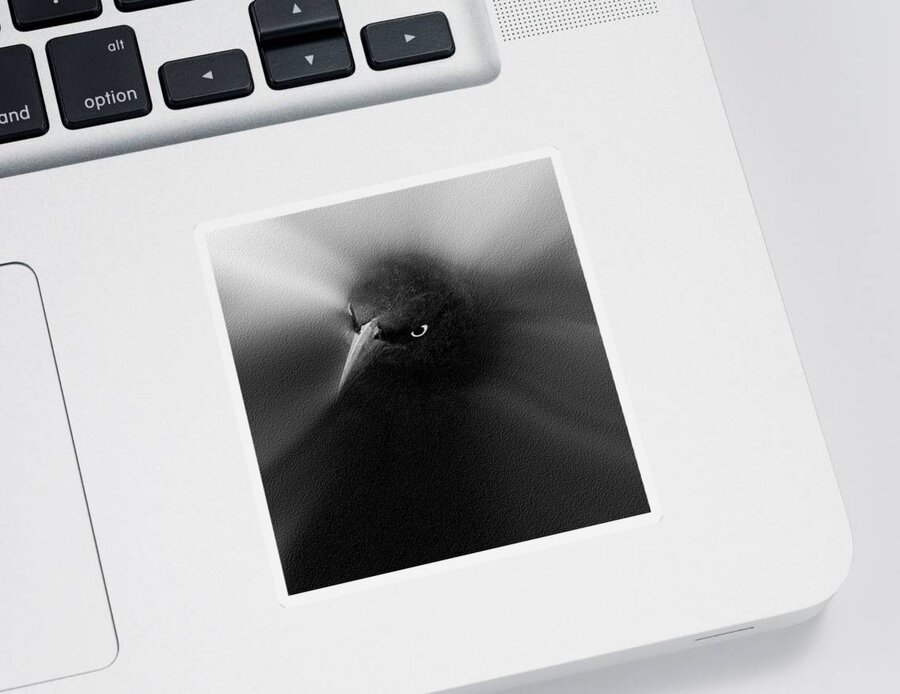 The Grackle Sticker featuring the digital art The Grackle 2 BW by Ernest Echols