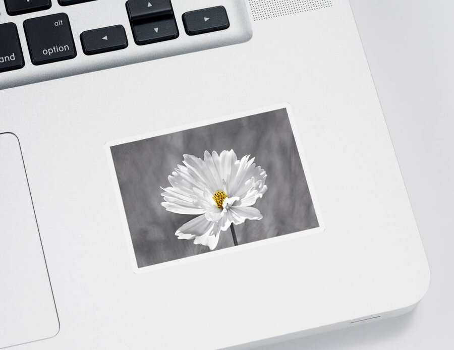 Flower Sticker featuring the photograph The Love Flower by Kim Hojnacki