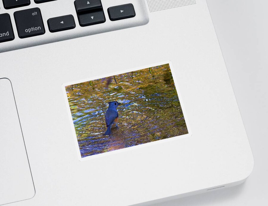 Reflections Sticker featuring the photograph The Naiad by Gary Holmes