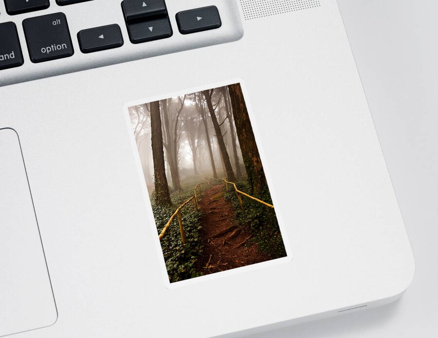 Nature Sticker featuring the photograph The pathway by Jorge Maia