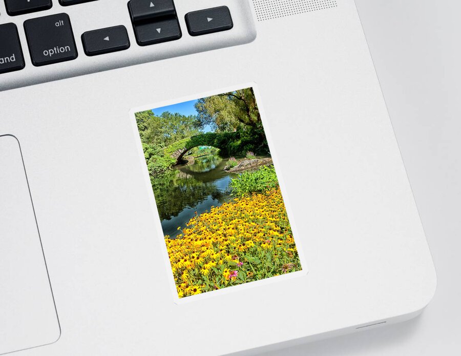 Pond Sticker featuring the photograph The Pond by Karol Livote