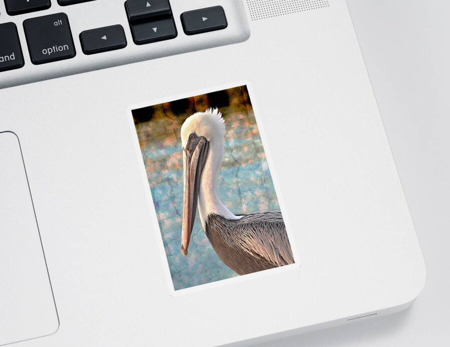 Pelican Sticker featuring the photograph The Prince by Debra and Dave Vanderlaan